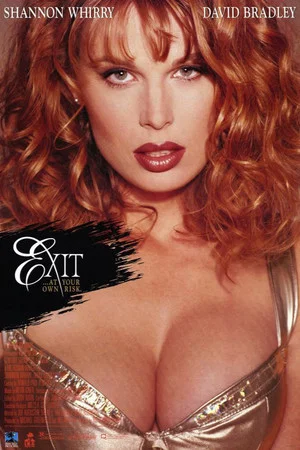 Постер: Exit