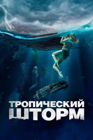 Постер: Тропический шторм