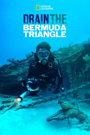 Постер: Drain the Bermuda Triangle