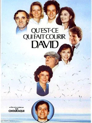 Постер: Qu'est-ce qui fait courir David ?