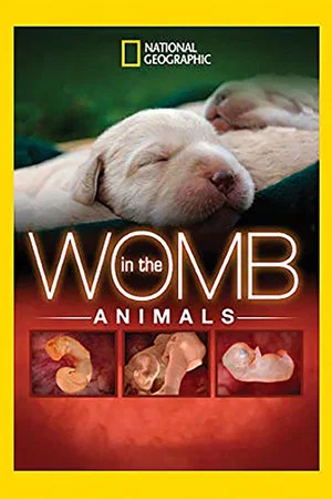 Постер: In The Womb: Animals