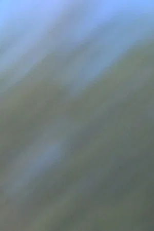 Постер: Clear Blue Sky