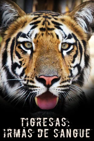 Постер: Tigress Blood