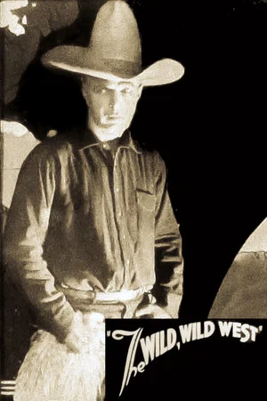Постер: The Wild Wild West
