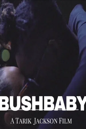 Постер: Bushbaby