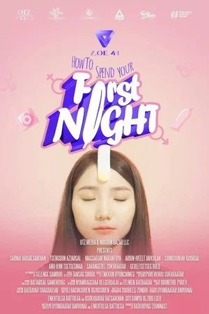 Постер: How To Spend Your First Night
