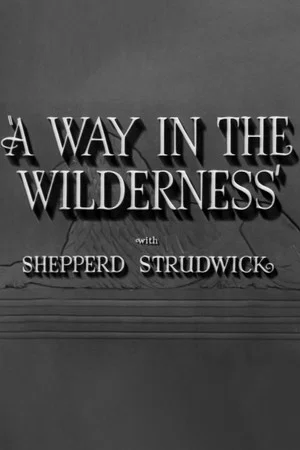 Постер: A Way in the Wilderness