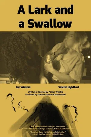 Постер: A Lark and a Swallow