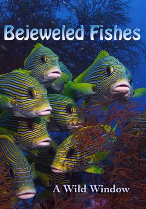Постер: Wild Window: Bejeweled Fishes