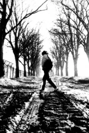 Постер: Im Übergang – Protokoll einer Hoffnung