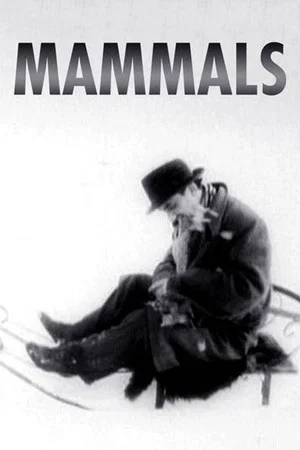 Постер: Mammals
