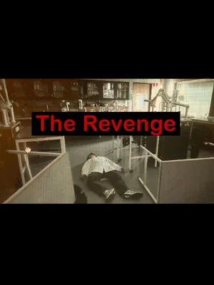 Постер: The Revenge