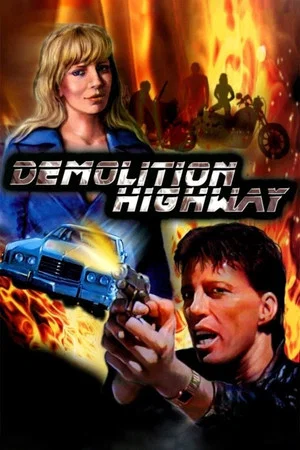 Постер: Demolition Highway