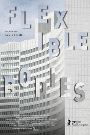 Постер: Flexible Bodies