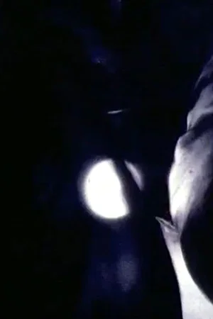 Постер: Notte veloce