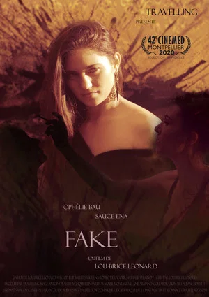 Постер: Fake