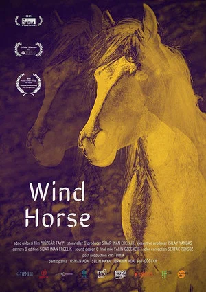 Постер: Wind Horse