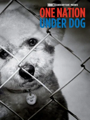 Постер: One Nation Under Dog