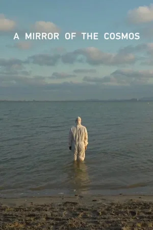 Постер: A Mirror of the Cosmos