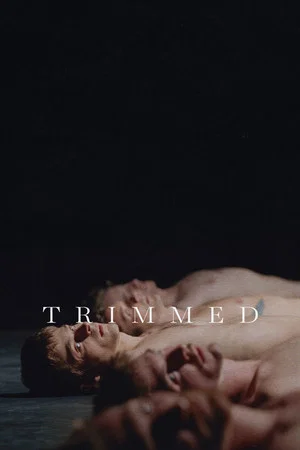 Постер: Trimmed