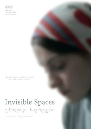Постер: Invisible Spaces