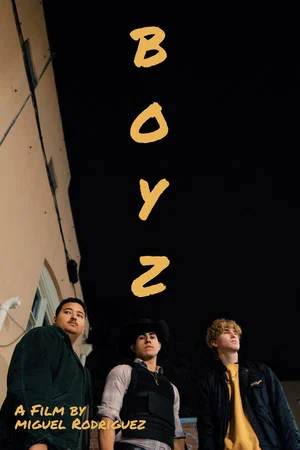 Постер: Boyz