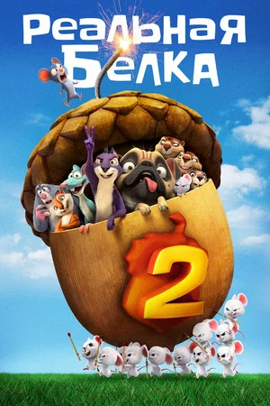 Постер: Реальная белка 2