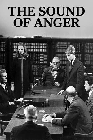 Постер: The Sound of Anger