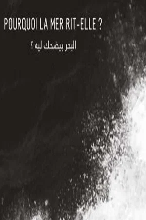 Постер: Why Does the Sea Laugh?