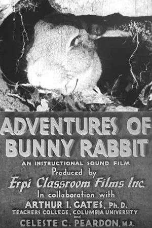 Постер: Adventures of Bunny Rabbit