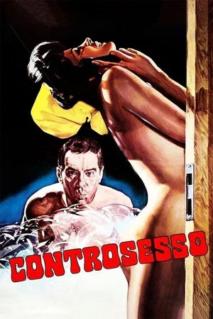 Постер: Controsesso