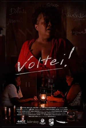 Постер: Voltei!