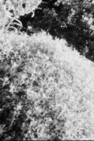 Постер: Sketch Film #5