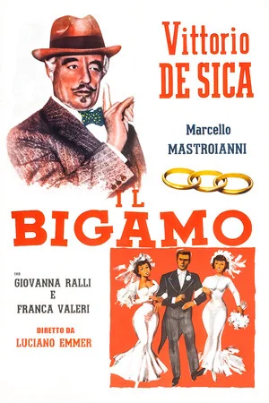 Постер: The Bigamist