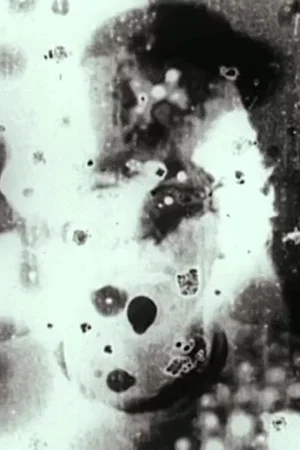 Постер: N°5