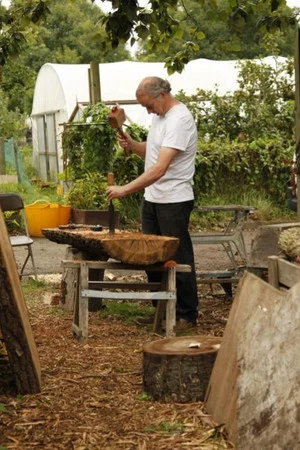 Постер: From Tree To Bench