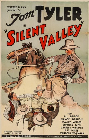Постер: Silent Valley