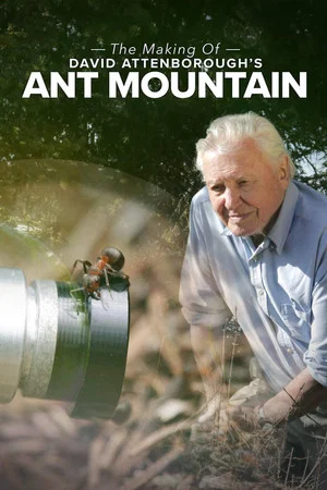 Постер: The Making of David Attenborough's Ant Mountain