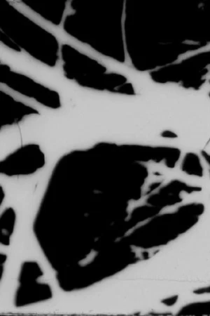 Постер: State of Mind