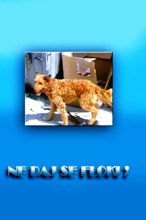 Постер: Don't Give in, Flockey!
