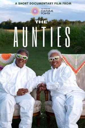 Постер: The Aunties