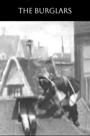 Постер: The Burglars