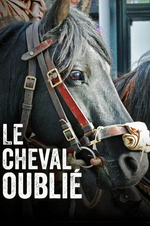 Постер: Le cheval oublié