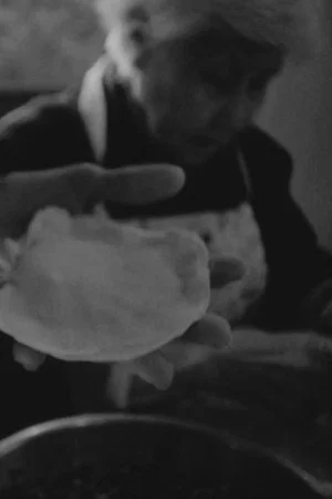 Постер: chive pockets