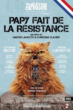 Постер: Papy fait de la résistance