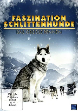 Постер: Faszination Schlittenhunde - Das große Rennen