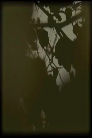 Постер: B#O 000001