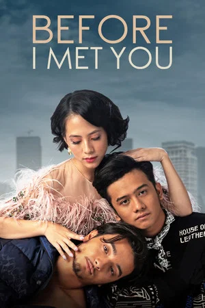 Постер: Before I Met You