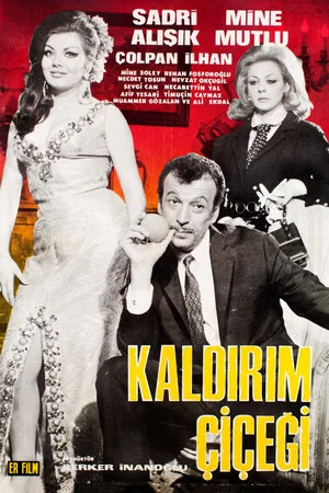 Постер: Kaldırım Çiçeği
