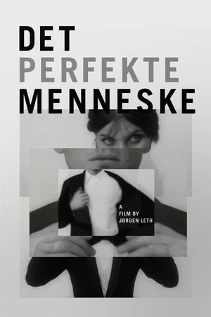 Постер: The Perfect Human